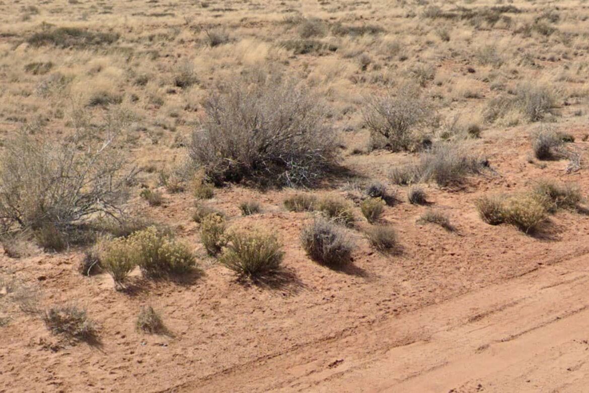 Raw land for sale in navajo county, Arizona, United states of America