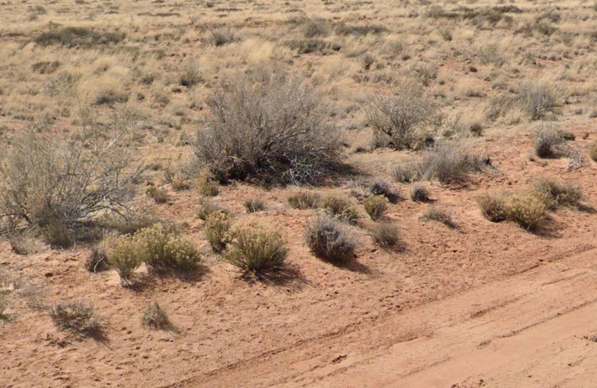 Raw land for sale in navajo county, Arizona, United states of America
